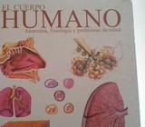 El Cuerpo Humano en buen estado