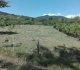 Vendo Lote en Cerro Azul de 4000 Metros