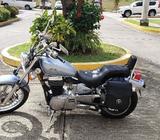 Suzuki Boulevard