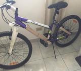 Bicleta Graniter Hoffy 24